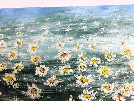 Daisies 1