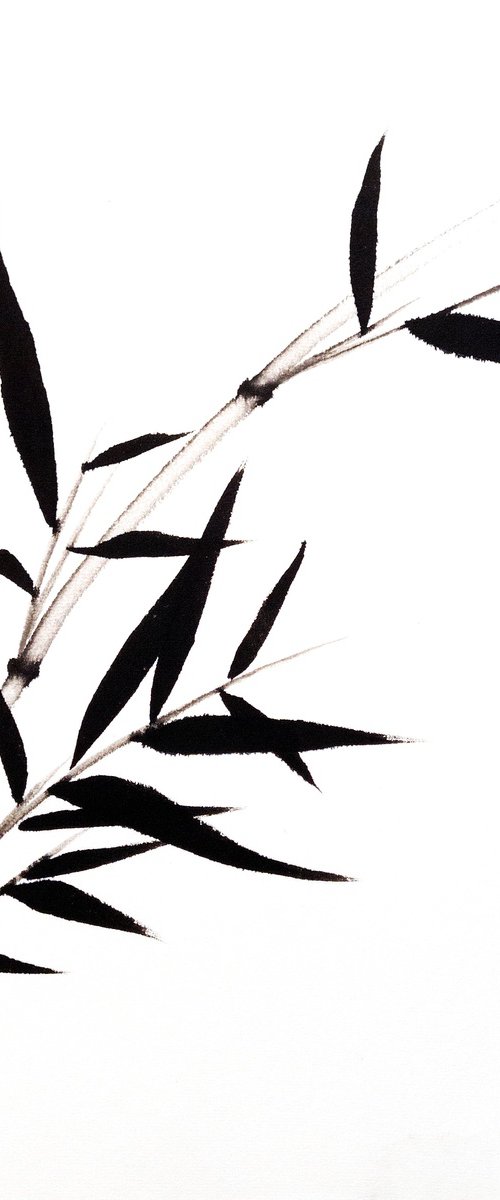Young Sprig of Bamboo by Ilana Shechter