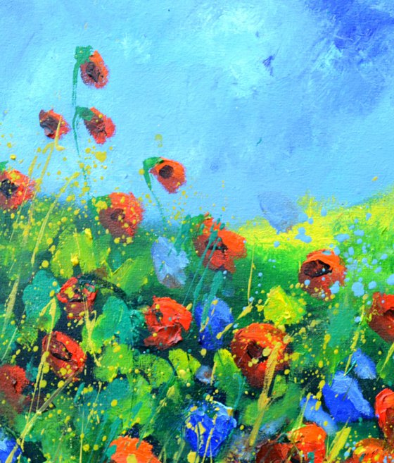 Flowers in Provence 44