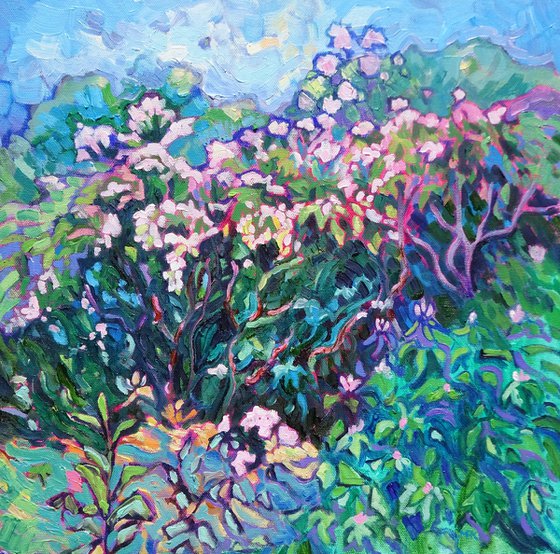 Floral Landscape - Rhododendrons