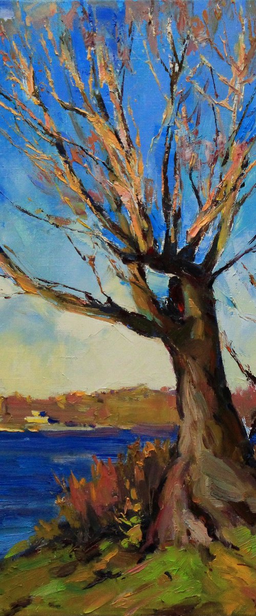 Autumn Sun by Alisa Onipchenko-Cherniakovska