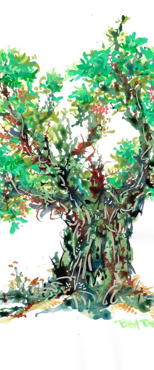 The Old Pepper Tree. by Ben De Soto
