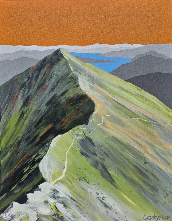 Catstye Cam