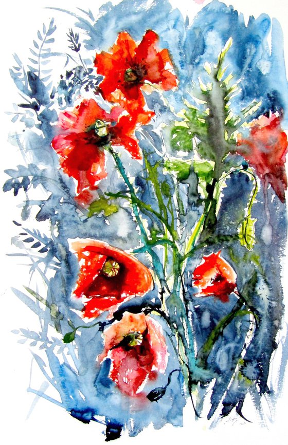 Wild poppies