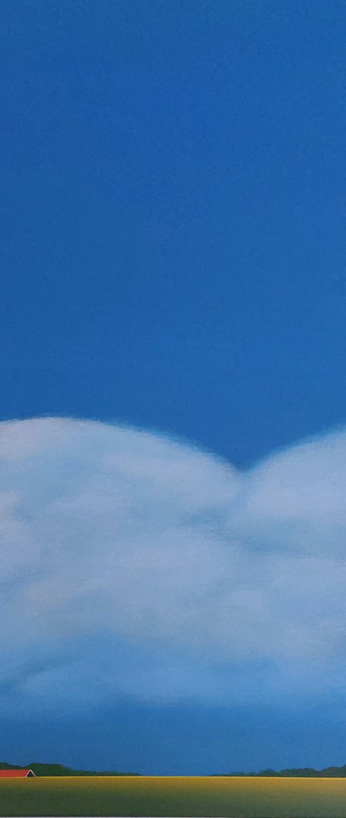 Springtime in my polder (3) by Nelly van Nieuwenhuijzen