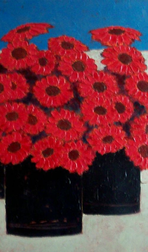 Barberton Reds by David J Edwards