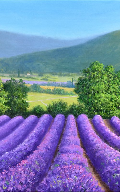 Lavender Season by Yulia Nikonova