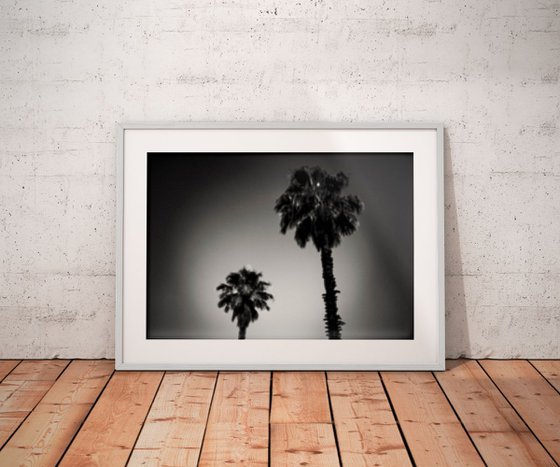 Why are palm trees so damn happy? | Limited Edition Fine Art Print 1 of 10 | 60 x 40 cm