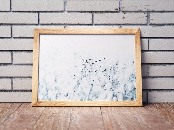 Syrian thistle | Limited Edition Fine Art Print 1 of 10 | 45 x 30 cm