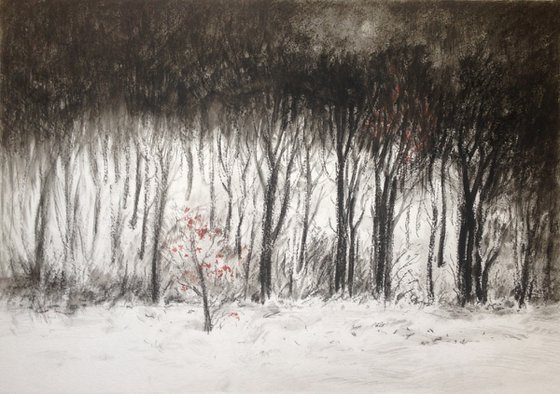 winter forest drawing