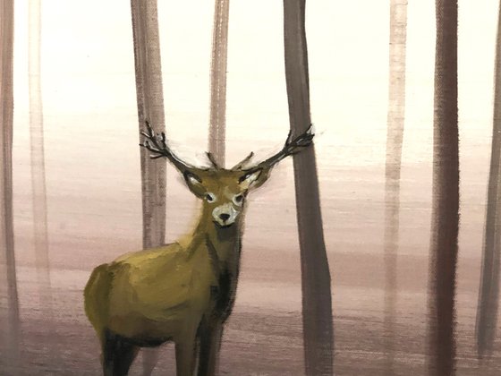 Stag In The Woods