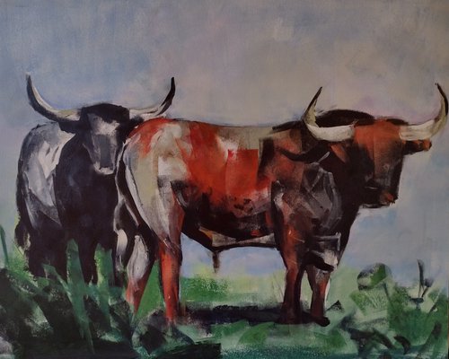 Bulls by Marina Del Pozo