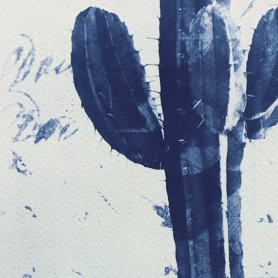 Cyanotype_09_A4_Cactus