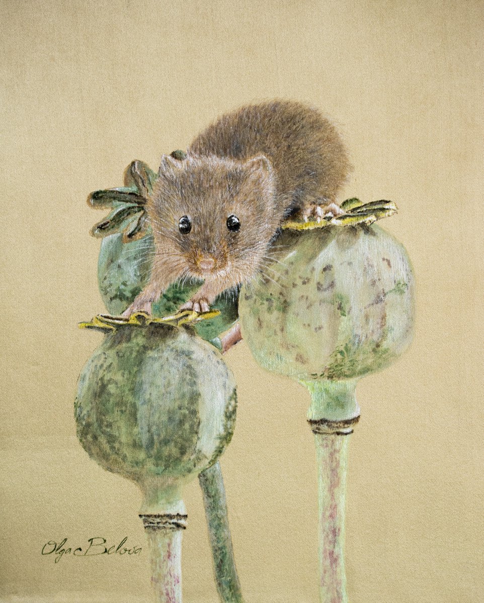 Harvest Mouse 1 - Silk painting by Olga Belova