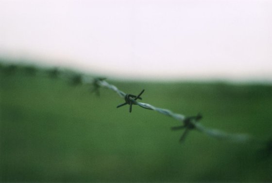 Perimeter - Unmounted (24x16in)
