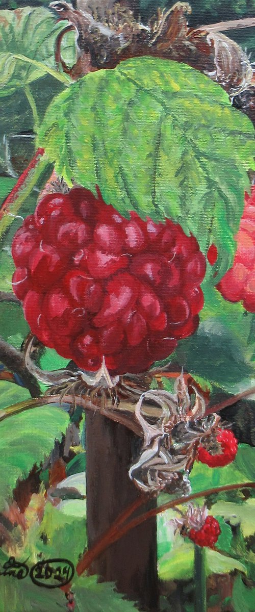 Raspberries by Nina Elaine Thompson