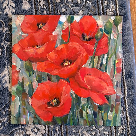 Red Poppy Field