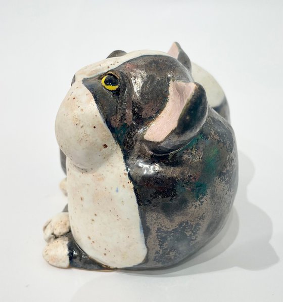 Whispers of Purrfect Peace