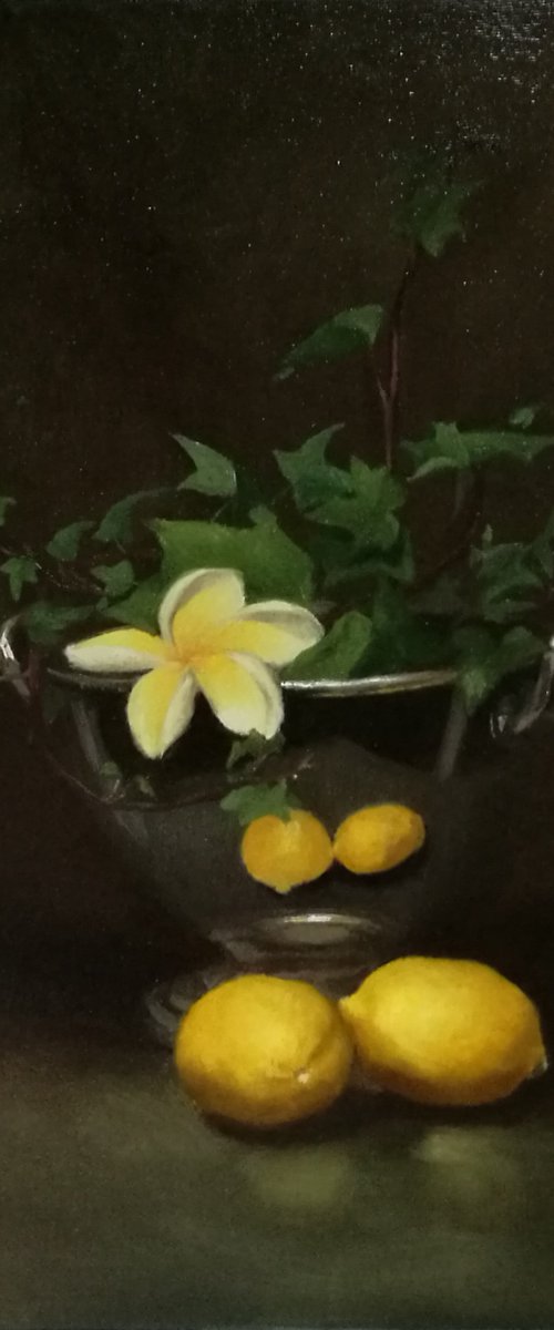Still life with ivy, lemons and frangipani by Daniela Roughsedge