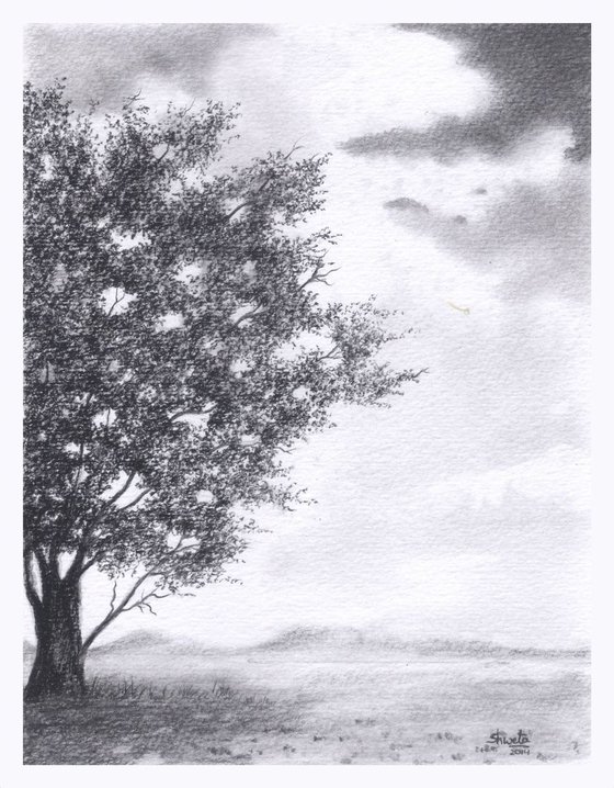 Tree Pencil Drawing