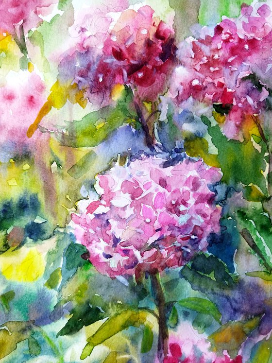 Pink Hydrangeas Art 9 by 12 inches