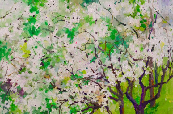 Whispers of Blossom Light