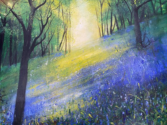 Arrival of Spring, Bluebell Bank