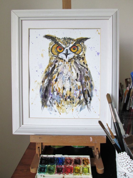 Owl portait