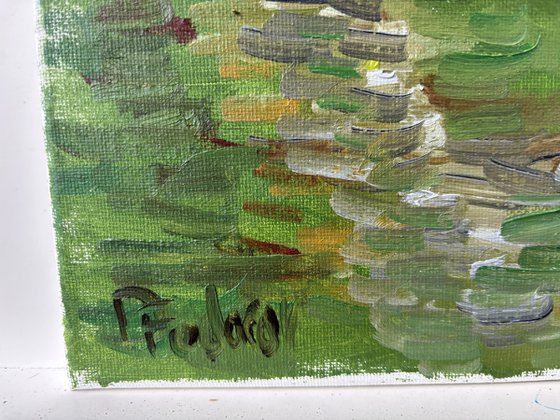 Evening Light on the Birch Tree