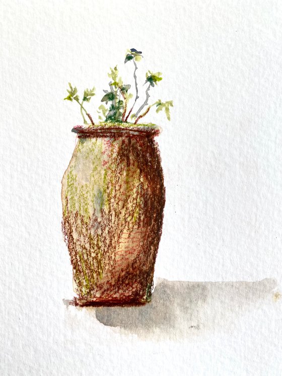 Plant in a jar. Set of four small watercolors