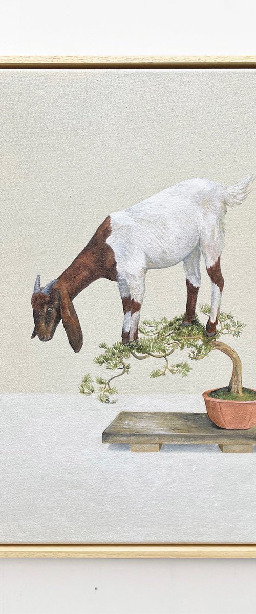 Bonsai Goat II by Joshua Daniels