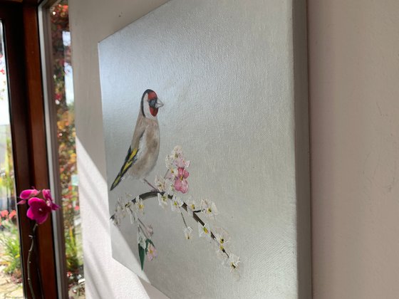 Goldfinch and Cherry Blossom on Silver