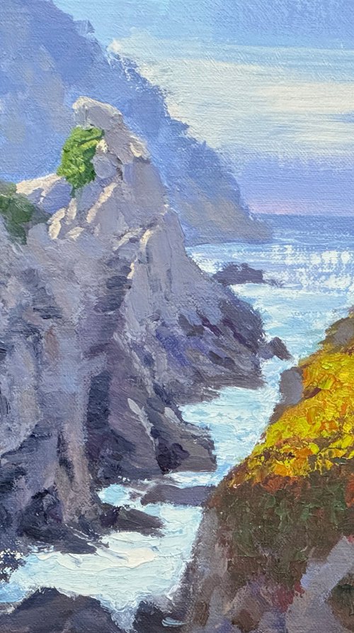 Late Morning At Point Lobos by Tatyana Fogarty