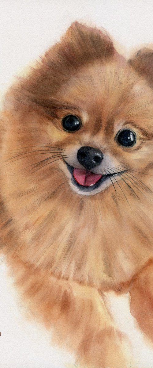 Dog portrait 29x38 cm by Tetiana Koda