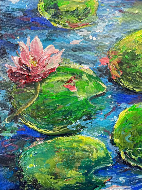 Lily pond