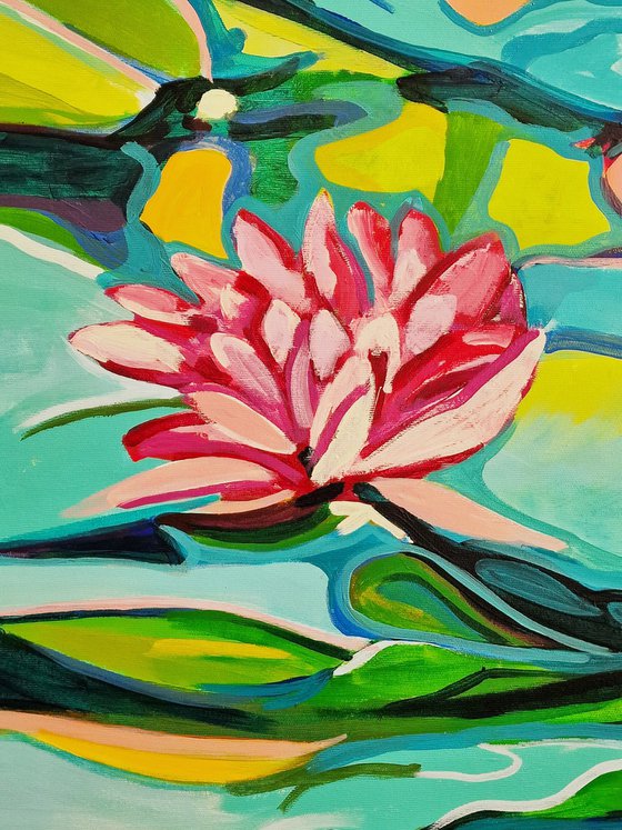 Water Lilies