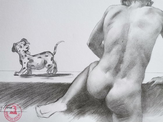 Drawing  male nude and dog#21529