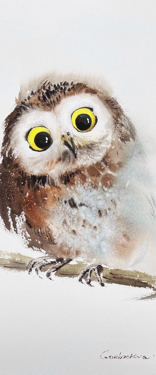 Little owl on a branch #9 by Eugenia Gorbacheva