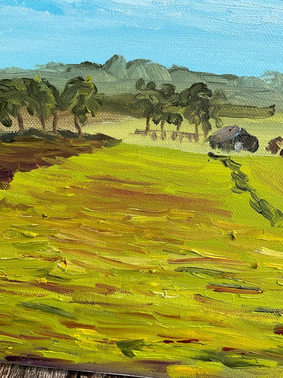 Expansive Horizon