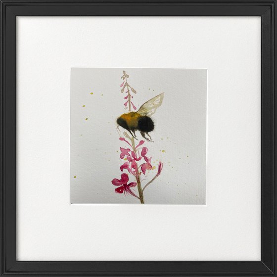 Bee Rosebay Willowherb Flower