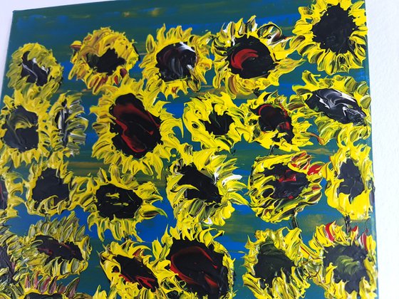 Blooming sunflowers 4