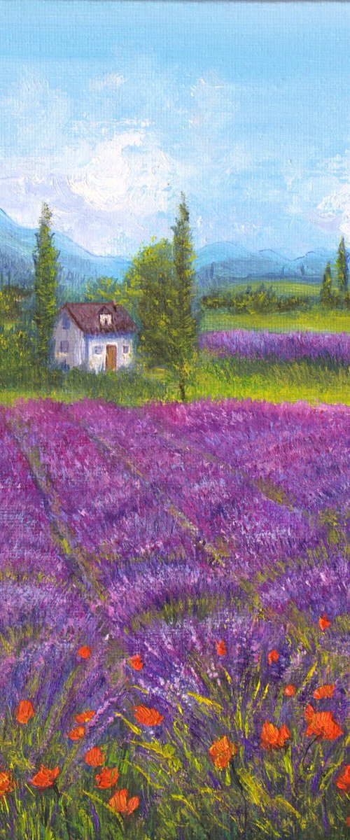 Lavender field by Ludmilla Ukrow