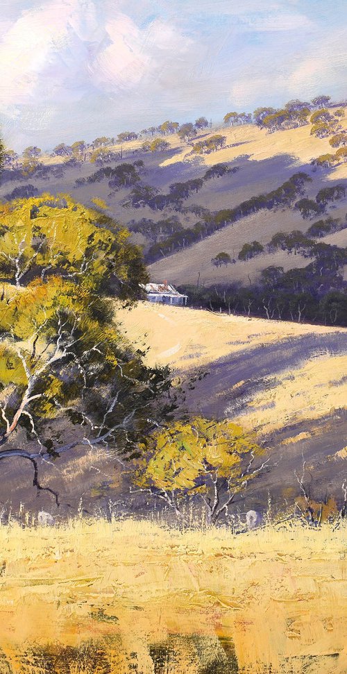 Australian Summer Landscape by Graham Gercken