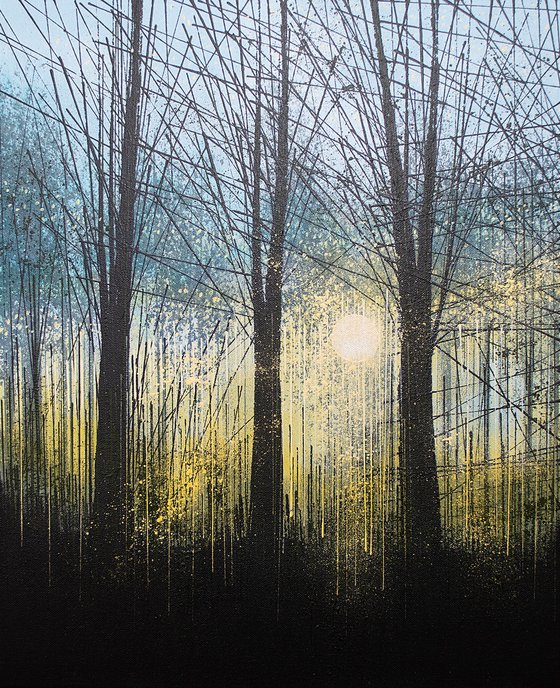 Forest Trees At Last Light