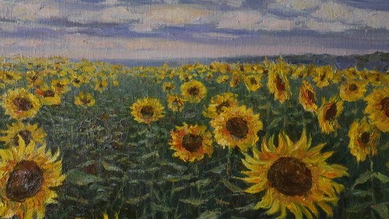 Sunflower Field - original landscape painting