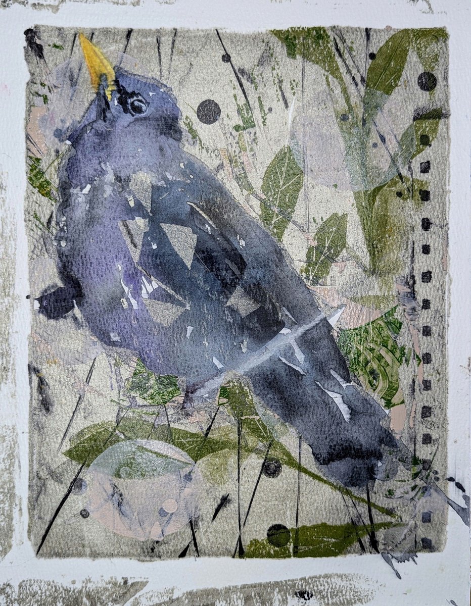 Mixed media starling by Wowhawk