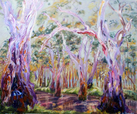 GUM TREES BY THE MURRUMBIDGEE RIVER