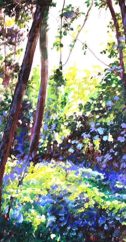 Sunlit Copse 2 by Rod Bere