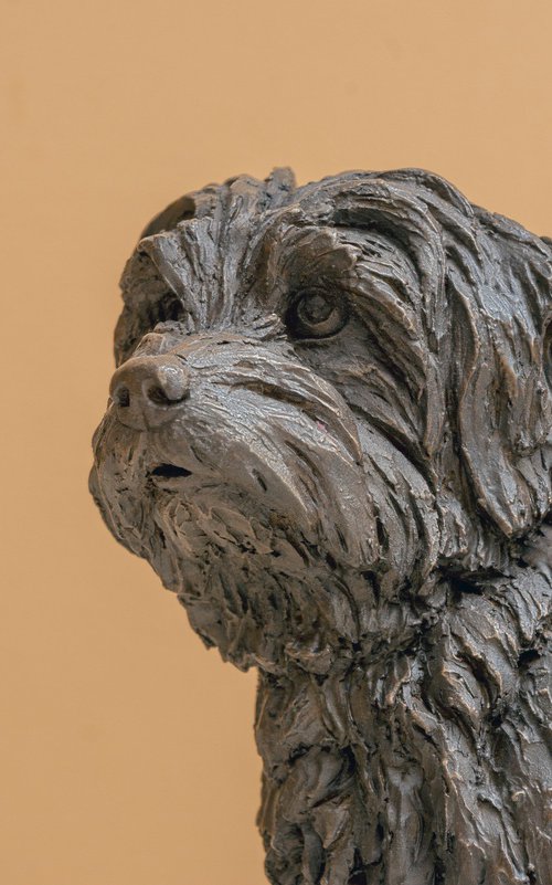 Norfolk Terrier Bronze Resin by Tanya Russell