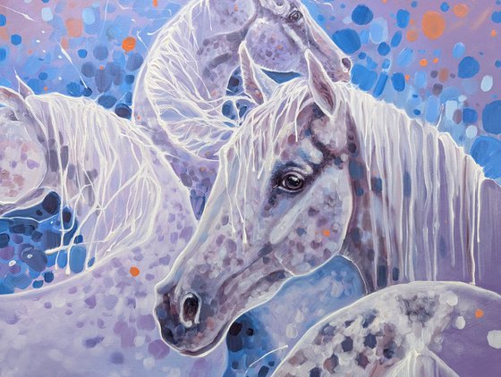 A Symphony of Horses